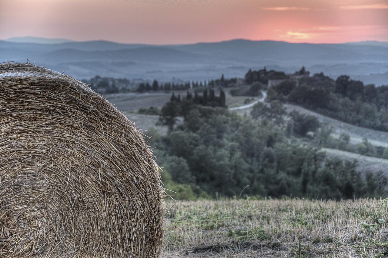 Podere Salicotto Guest House Buonconvento Exterior photo